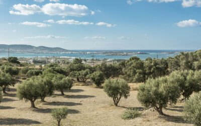 OMIBREED per la rigenerazione dell’olivicoltura in Salento